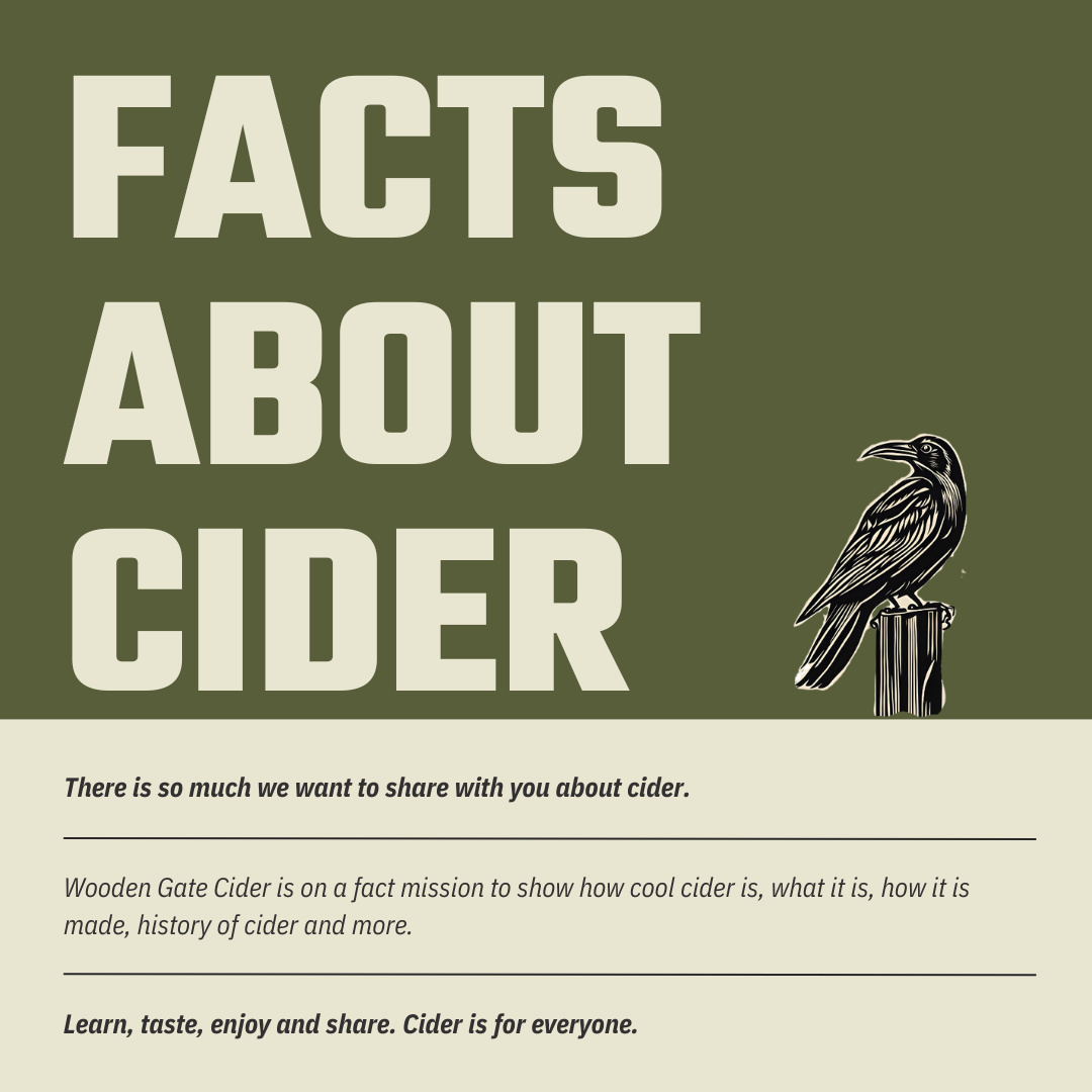 What is Cider?